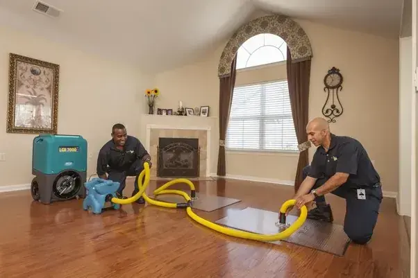 Drying equipment set in a finished room in a Malibu, CA home