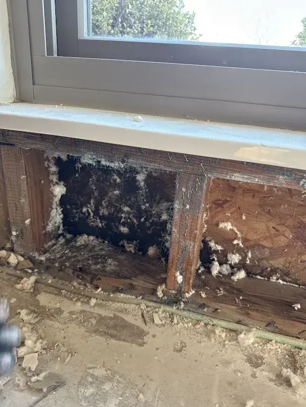 Framing dried after a slab leak in a Malibu, CA home